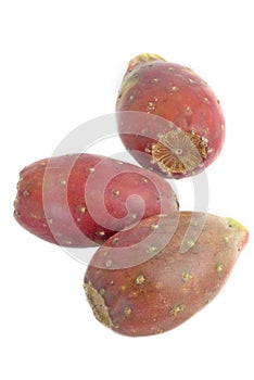 Cactus pears isolated