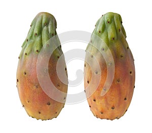 Cactus Pears Isolated with clipping path