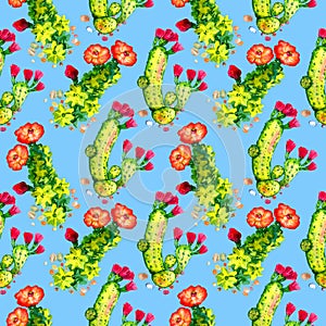 Cactus with pink and red flowers, seamless pattern design, bright blue background