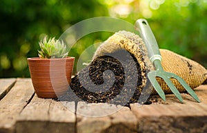 Cactus on plant pot with fertilizer bag over green background