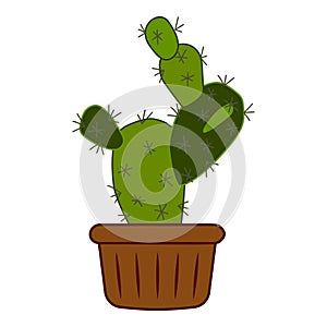 Cactus plant pot icon cartoon vector. Care office window