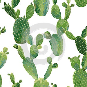 Cactus Plant Seamless Pattern. Exotic Tropical Summer Botanical Background