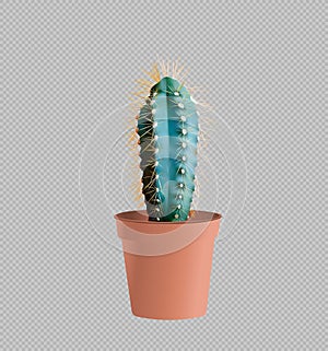 The cactus is planted in a brown pot. Concept Realistic 3d Illustration