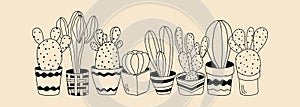 Cactus plants in pots hand drawn houseplants vector illustration