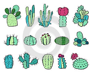 Cactus plants set. Vector colorful hand drawn outline sketch illustration