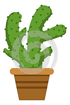 Cactus in pot. Green succulent plant. Cartoon cacti