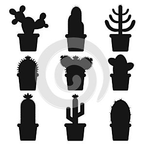 cactus in a pot. Icon of cactus flower. Desert plant.