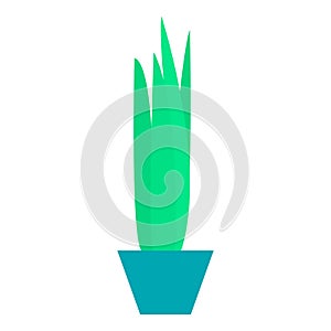Cactus pot icon, flat style
