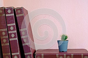 Cactus pot on old book vintage on the shelf