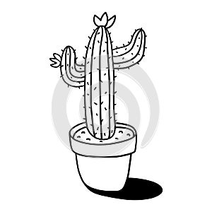 Cactus in a pot outline illustration
