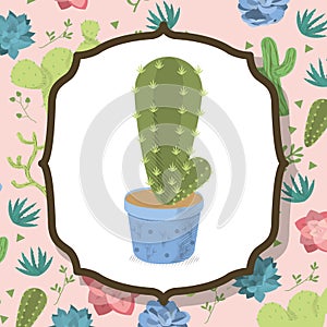 Cactus on pot over desert plants background