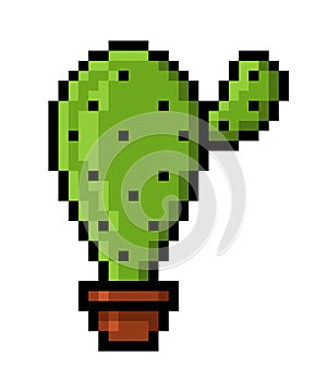 Cactus in pot pixel art on white background