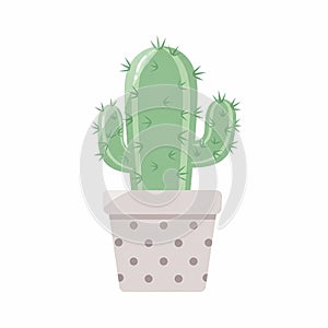 Cactus in pot with transparent background