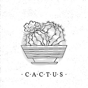 Cactus in a pot. Vector hand-drawn cartoon style illustration isolated on white background