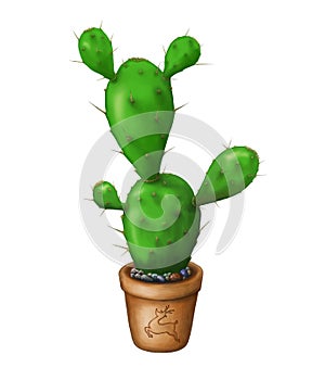 Cactus with prickles in a pot