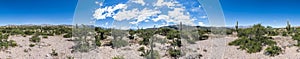 Cactus Quebrada de Humahuaca in Jujuy, Argentina