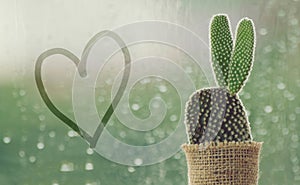 Cactus on a rainy day with handwriting heart shape on water drop at window background. drops of rain on window glass background