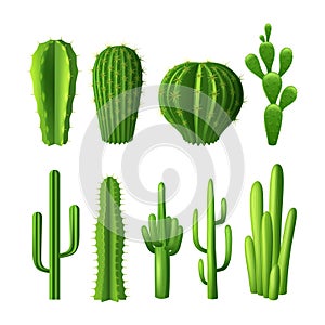 Cactus Realistic Set