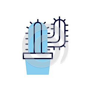 Cactus related vector icon