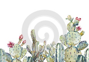 Cactus repeating border