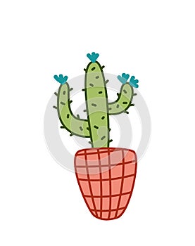 Cactus saguaro. Carnegiea in bloom. Flowering plant. Flat, cartoon, vector photo