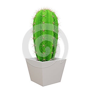 Cactus Saguaro picture. 3d rendering. photo