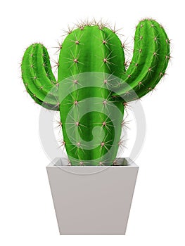 Cactus Saguaro picture. 3d rendering. photo