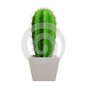 Cactus Saguaro picture. 3d rendering. photo