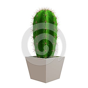 Cactus Saguaro picture. 3d rendering. photo