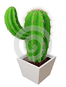 Cactus Saguaro picture. 3d rendering. photo