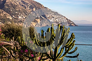 Cactus with Scenic view from Positano on coastal town Praiano on the Amalfi Coast in the Provice of Salerno in Campania, Italy