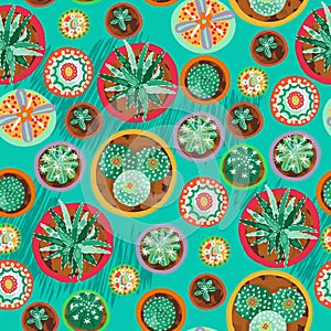 Cactus seamless pattern.