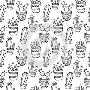 Cactus seamless pattern illustration. Vector succulent and cacti hand drawn set. In door plants in pots.