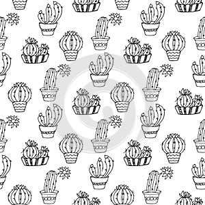 Cactus seamless pattern illustration. Vector succulent and cacti hand drawn set. In door plants in pots.