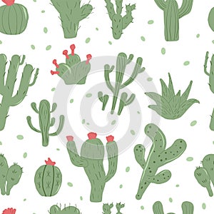 Cactus seamless pattern. Mexican exotic plant endless background. Nopal loop cover. Vector hand drawn illustration