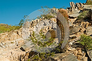 Piestewa / Squaw Peak
