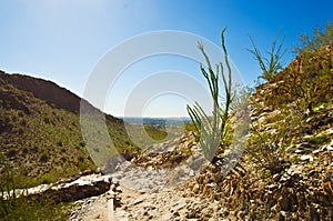 Piestewa / Squaw Peak