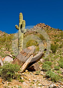 Piestewa / Squaw Peak