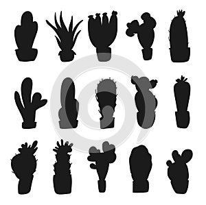 cactus silhouette