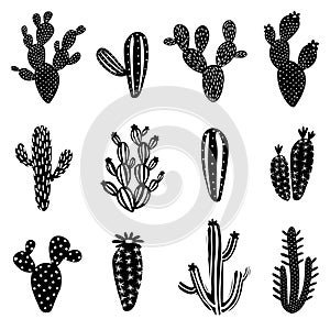 Cactus silhouette illustration set photo
