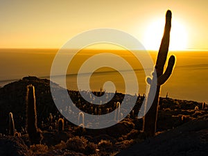 Silueta en amanecer sobre el 