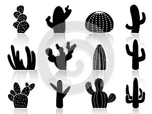 Cactus Silhouettes