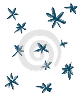 Cactus spike desert plant texture element doodle freehand illustration photo