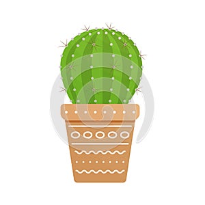 Cactus with spines isolated on white background. Cacti icon in cute flat style