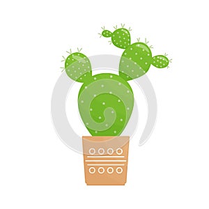 Cactus with spines isolated on white background. Cacti icon in flat style
