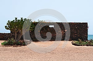 Cactus and stone walls in a marine landscape