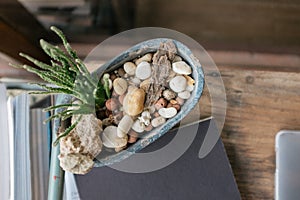 Cactus and stones in the little pod on wooden table