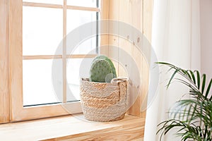 A cactus in a straw pot stands on a wooden windowsill near the window.  Green cactus, succulent on the windowsill with a light sof