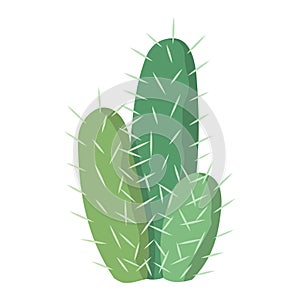 Cactus and succulent colorful cartoon vector illustration