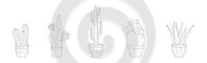 Cactus Succulent Plant Growing in Pot Linear Vector Set